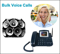 Bulk voice calls